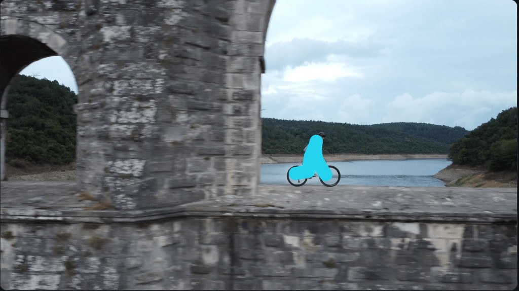 Brush mark selecting an object to remove from video